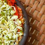 world cuisine recipes
