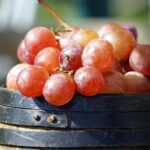 world food guide