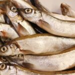irenna-fish-8210152