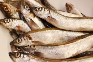 irenna-fish-8210152